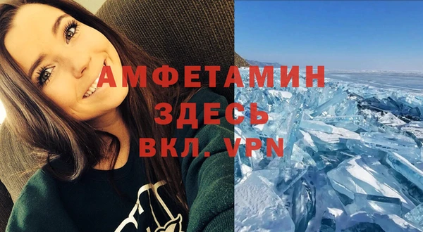 apvp Алзамай
