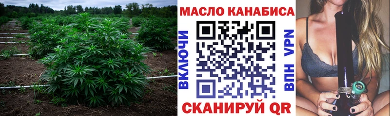 как найти наркотики  Пустошка  ТГК гашишное масло 